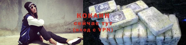 гидра Белокуриха