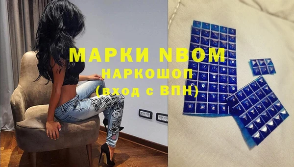 гидра Белокуриха