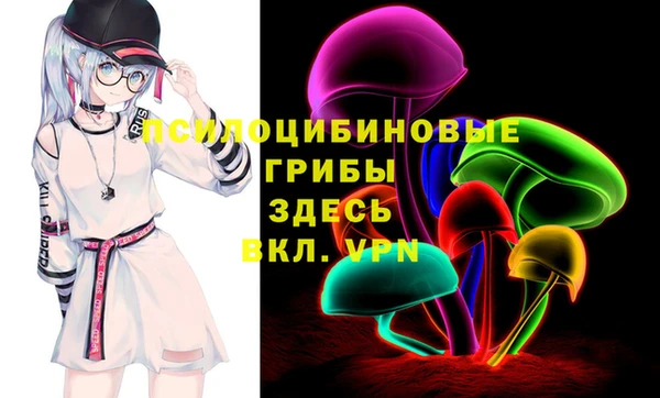 гидра Белокуриха